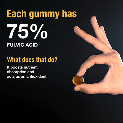 BodyWise | Gominolas de Shilajit Puro