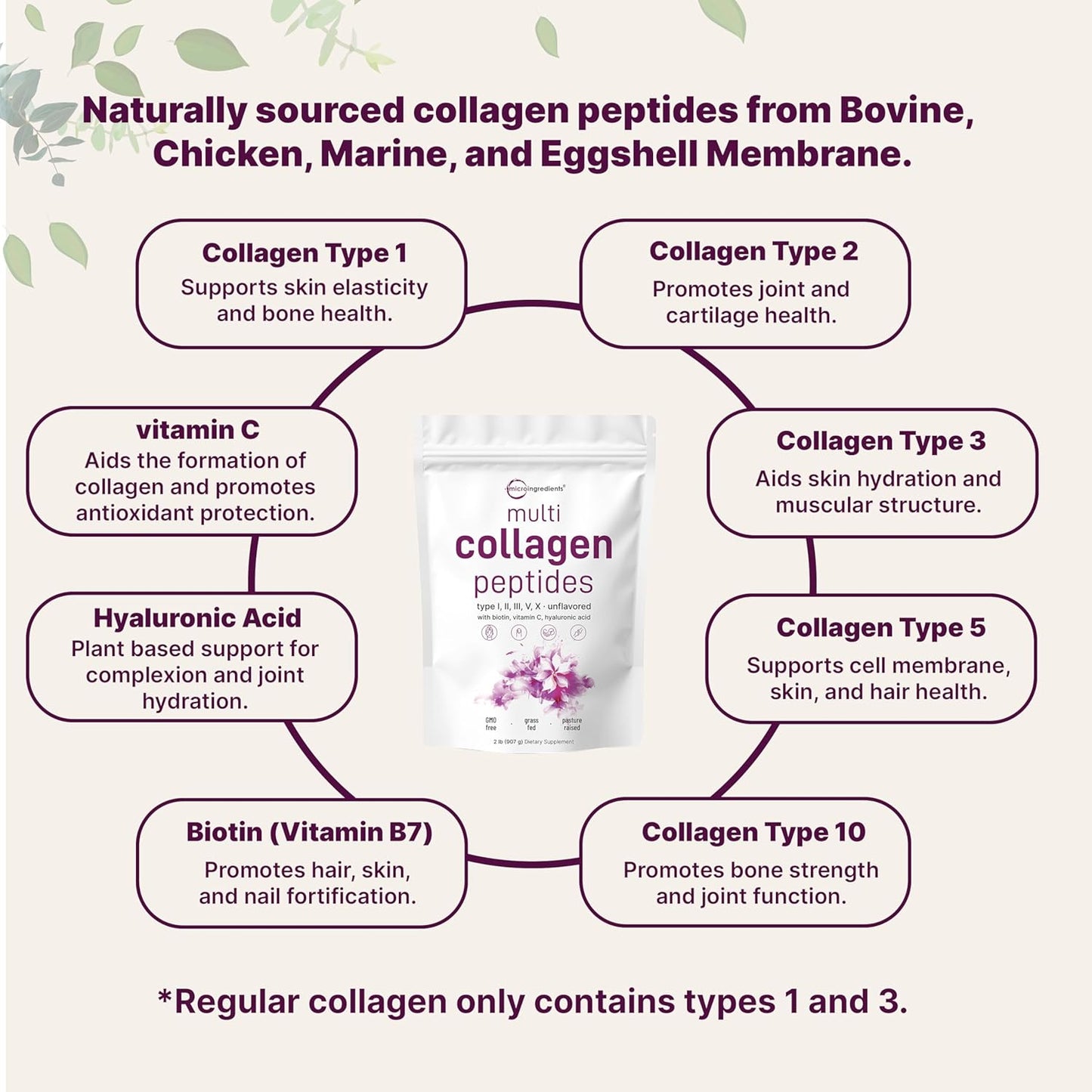 Micro Ingredients - Polvo de proteína de colágeno múltiple, 2 libras, tipo I, II, III, V, X con biotina, ácido hialurónico y vitamina C.